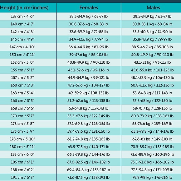 Hello Kitty Fishnet Stockings - Picture 16 of 16